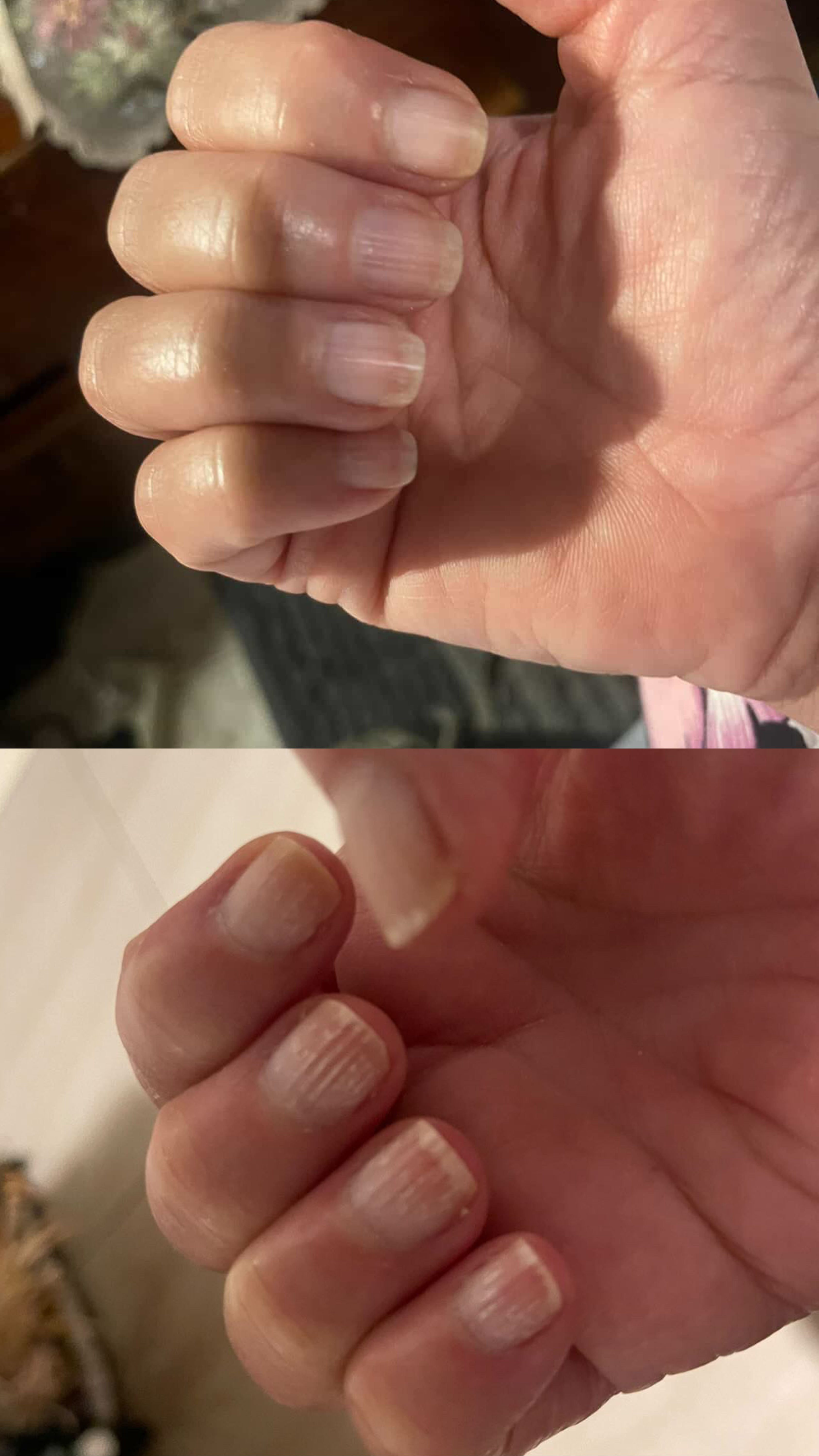 LE LISSEUR – Vertical Ridges Smoothing Oil