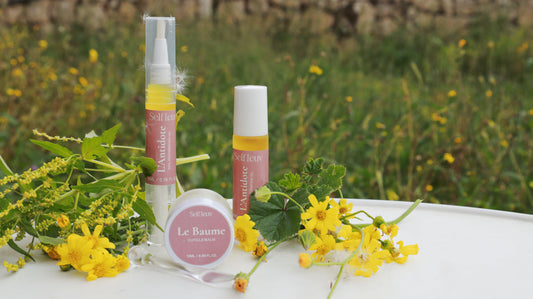 The 60-Second Ritual: Why Consistency is the Only Real 'Secret' to Dream Nails.