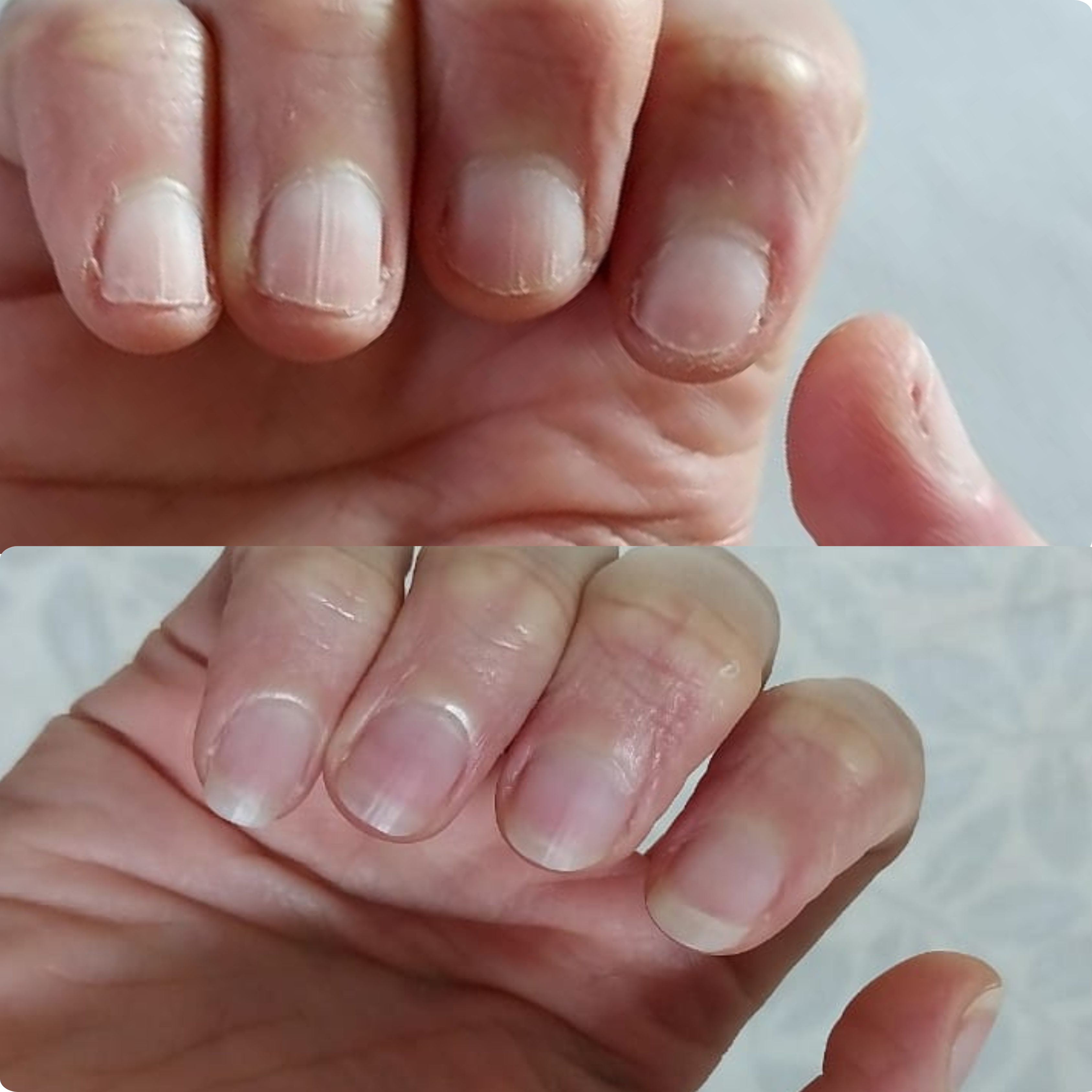 LE LISSEUR – Vertical Ridges Smoothing Oil