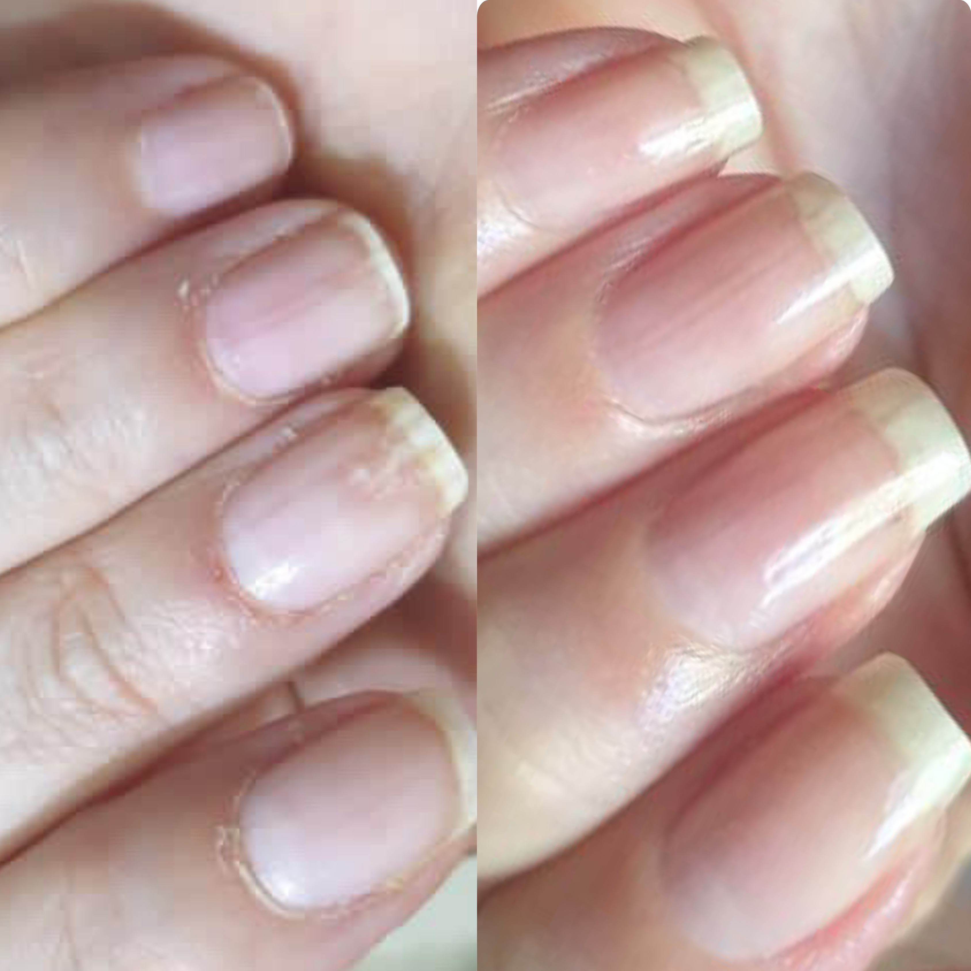 LE LISSEUR – Vertical Ridges Smoothing Oil
